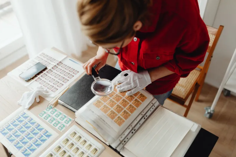 From Casual Fan to True Aficionado: The Art of Developing a Refined Taste